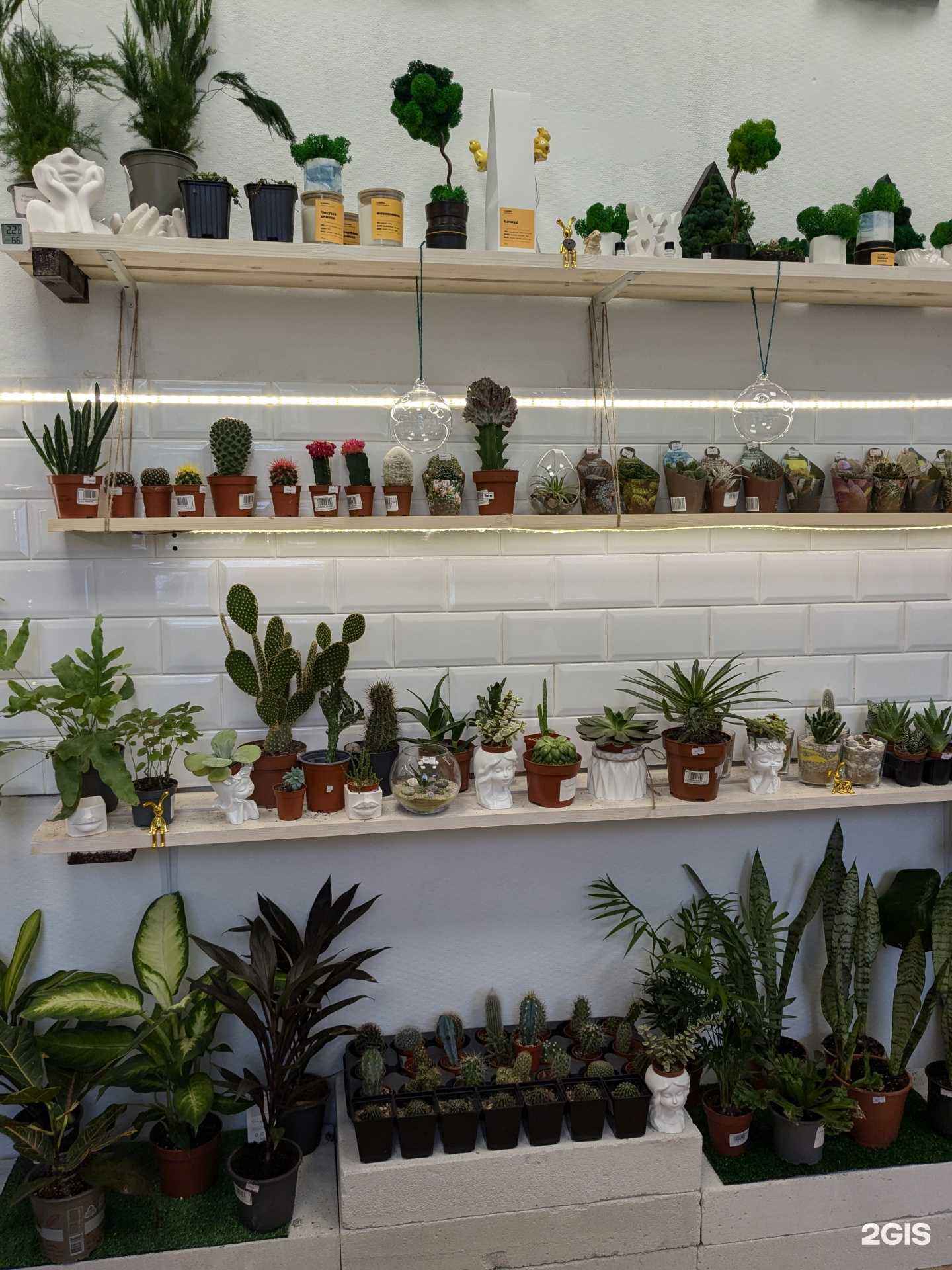 Отзывы на компанию ЦветОк в Таганроге c фото