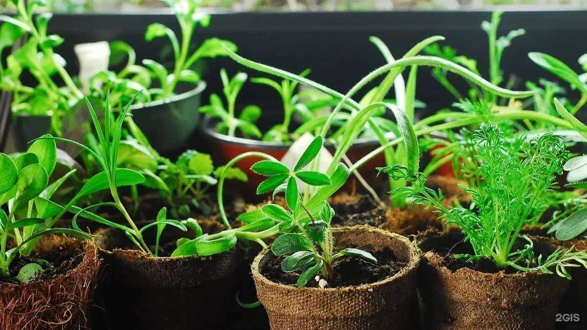 Отзывы на компанию Дом корпусной мебели в Бердске c фото