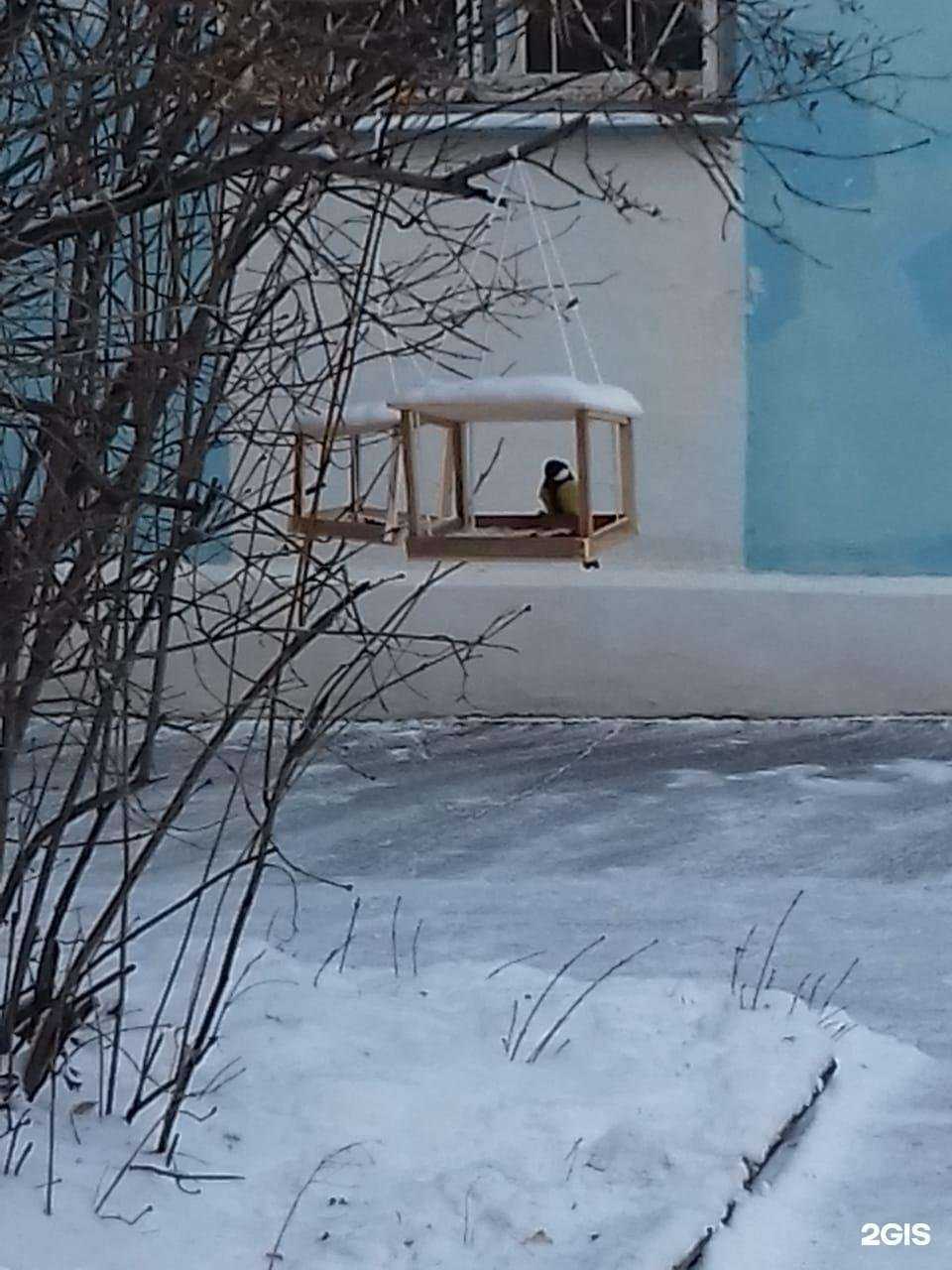 Отзывы на компанию Детский сад №191 компенсирующего вида в г. Омск c фото