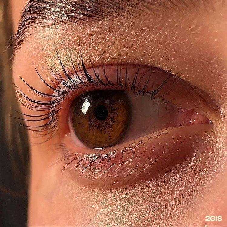 Отзывы на компанию Вербена в Туапсе c фото