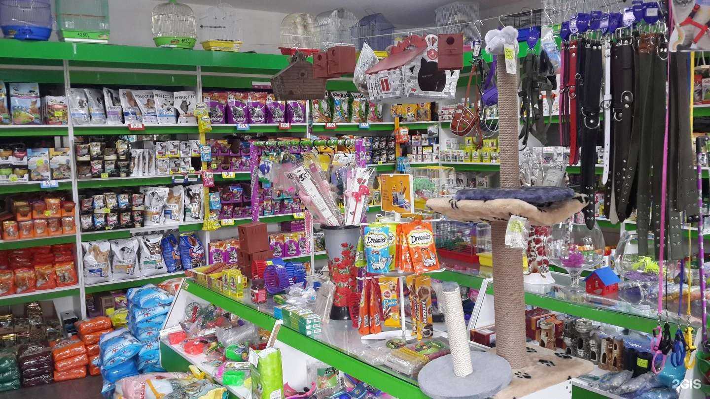 Отзывы на компанию Кот & Пес в г. Махачкала c фото