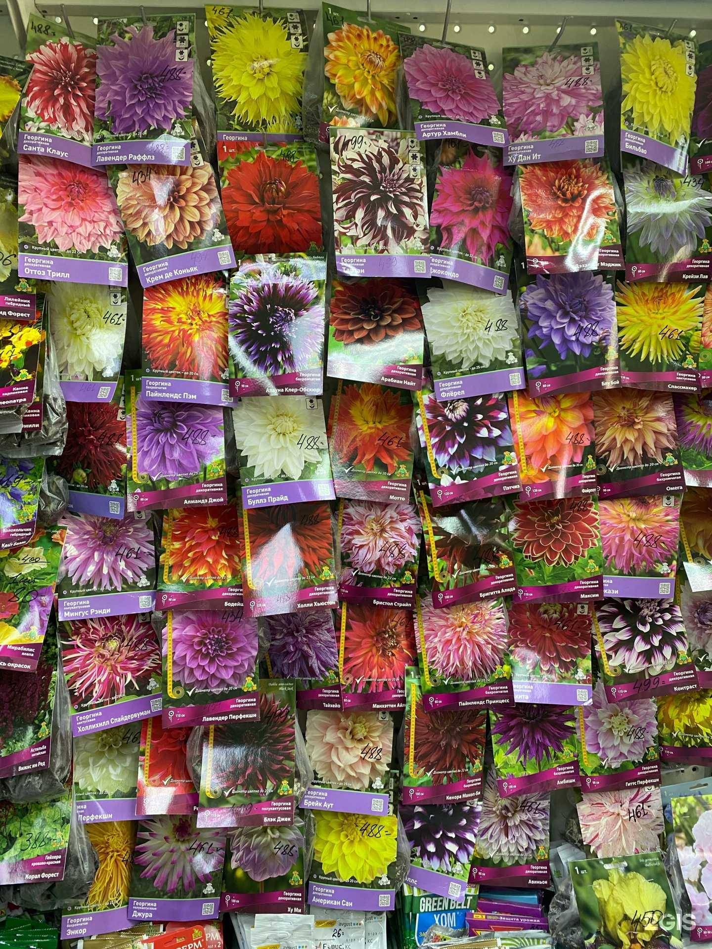 Отзывы на компанию Дом сад в Саратове c фото