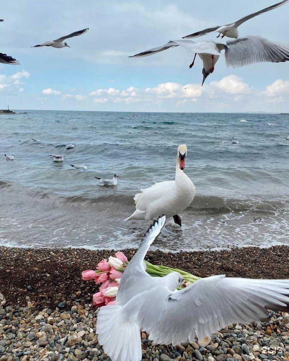 Отзывы на компанию Авентура в г. Самара c фото