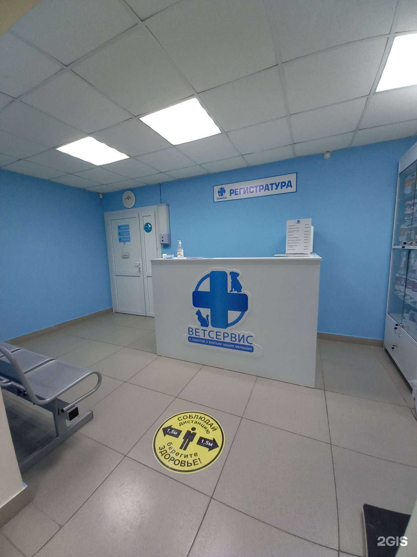 Отзывы на компанию Белый медведь в Тюмени c фото