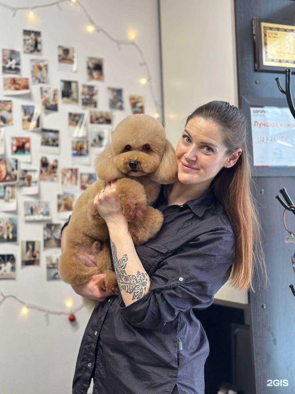 Отзывы на компанию Urbandog в г. Екатеринбург c фото