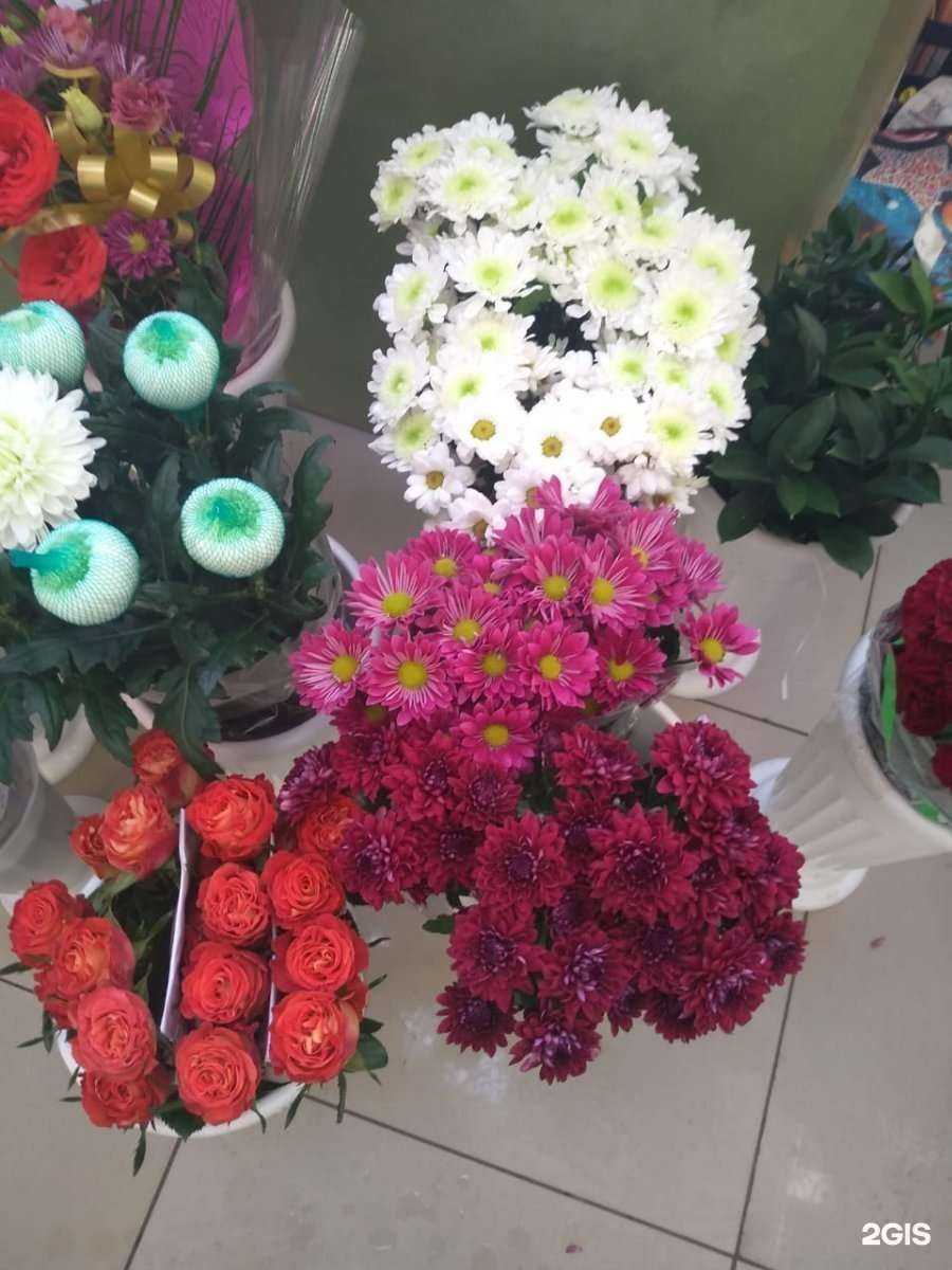 Отзывы на компанию Алёшины Сады в Барнауле c фото