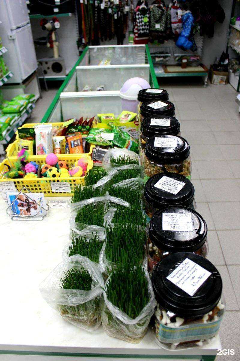 Отзывы на компанию Птичка в г. Ярославль c фото