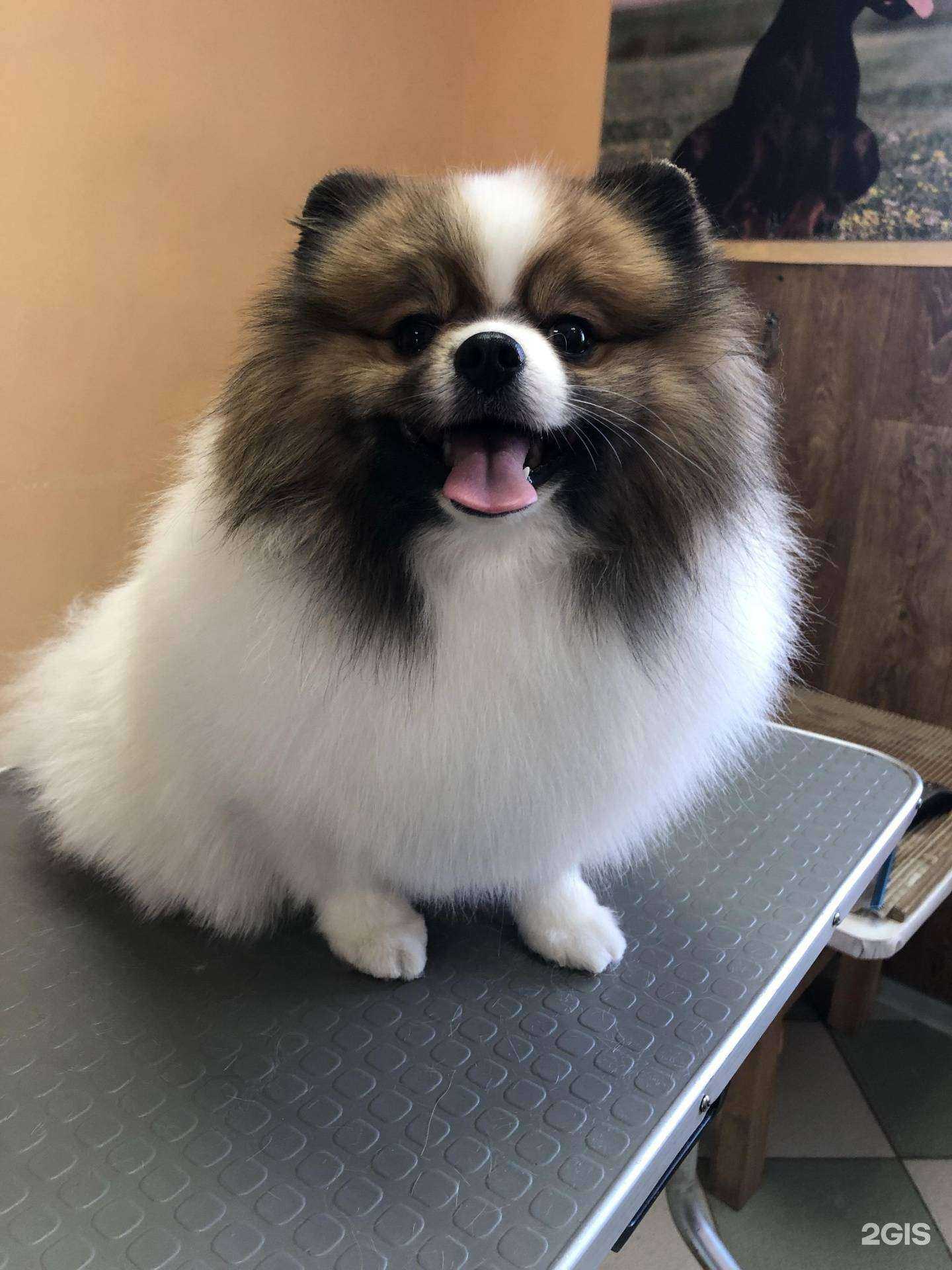 Отзывы на компанию Велес плюс в Нефтекамске c фото