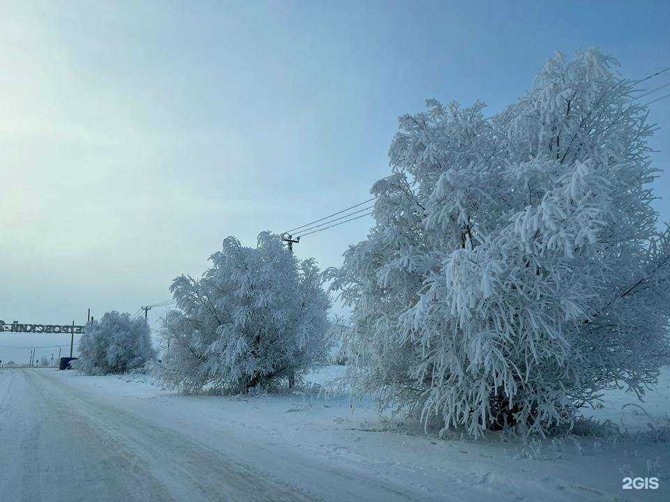 Отзывы на компанию Петровский 2 в Челябинске c фото