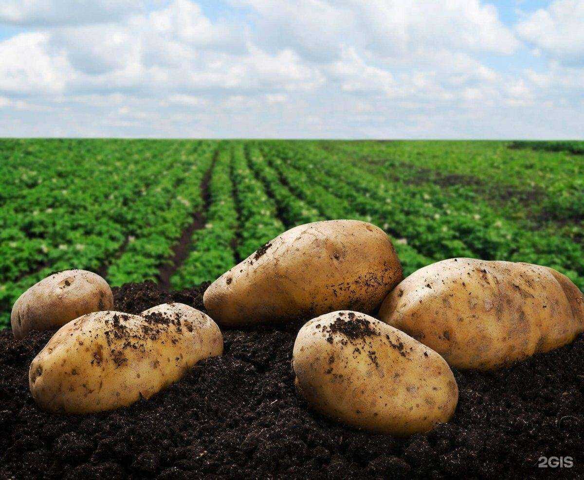 Отзывы на компанию Прим-Консалт в Владивостоке c фото