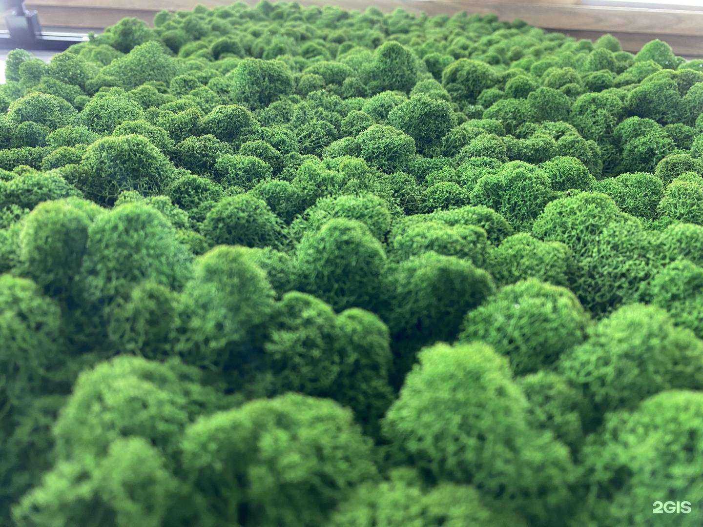 Отзывы на компанию Zetdoors в Казани c фото