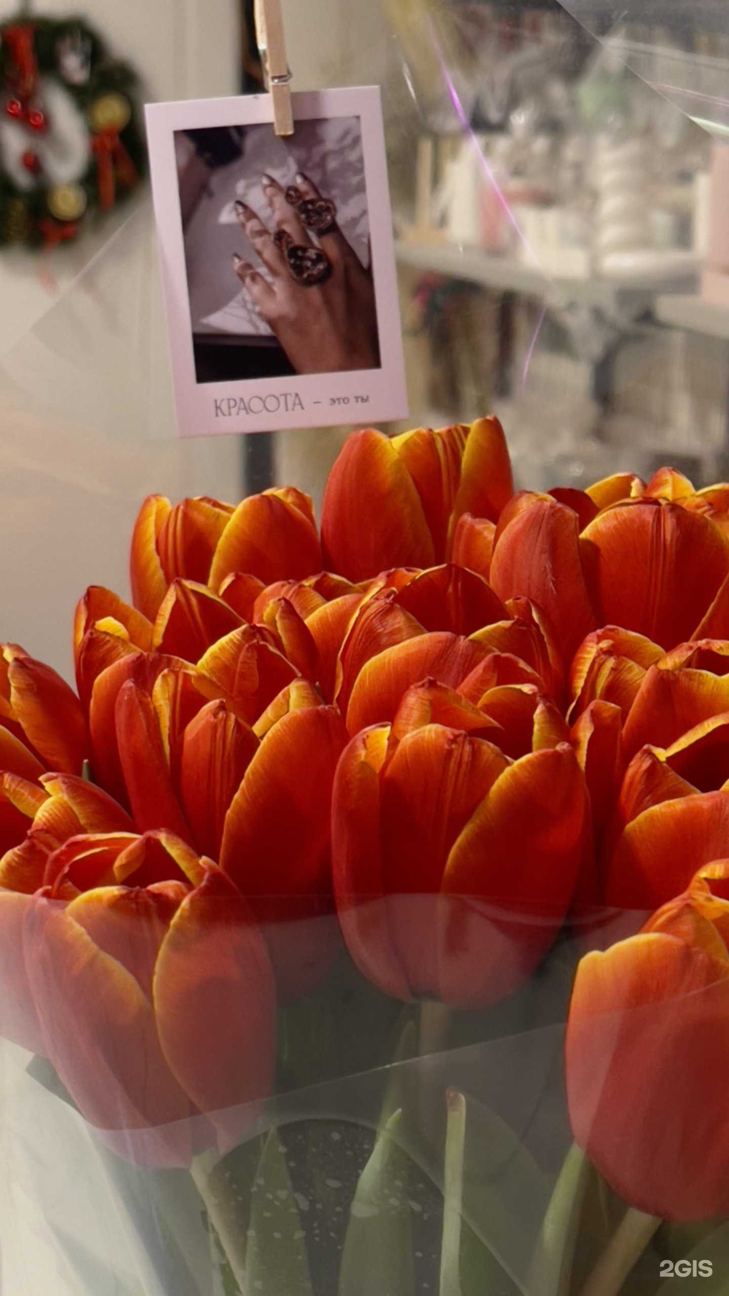 Отзывы на компанию BloomBox в г. Анапа c фото