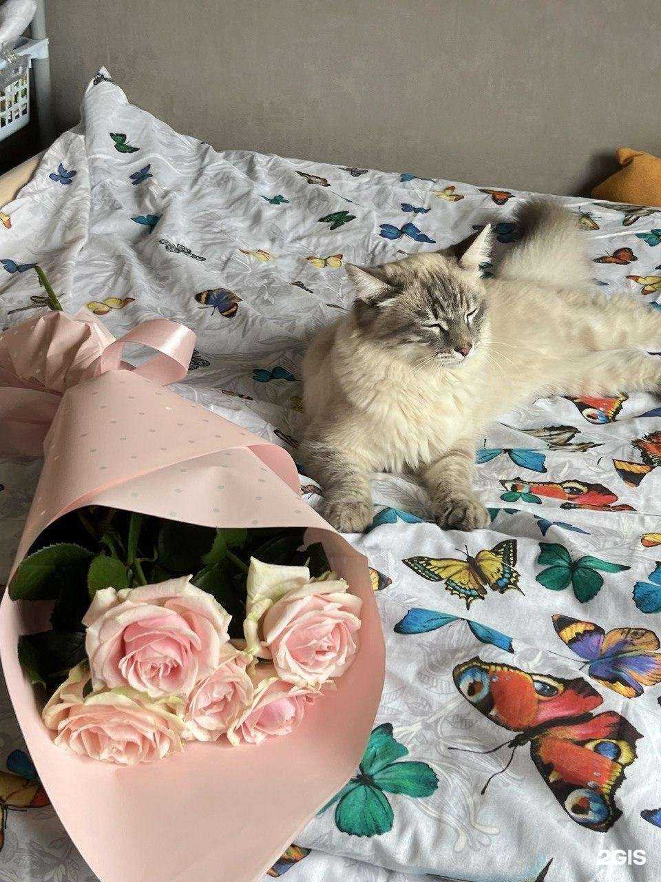 Отзывы на компанию Магазин по продаже цветов  в Чебоксарах c фото