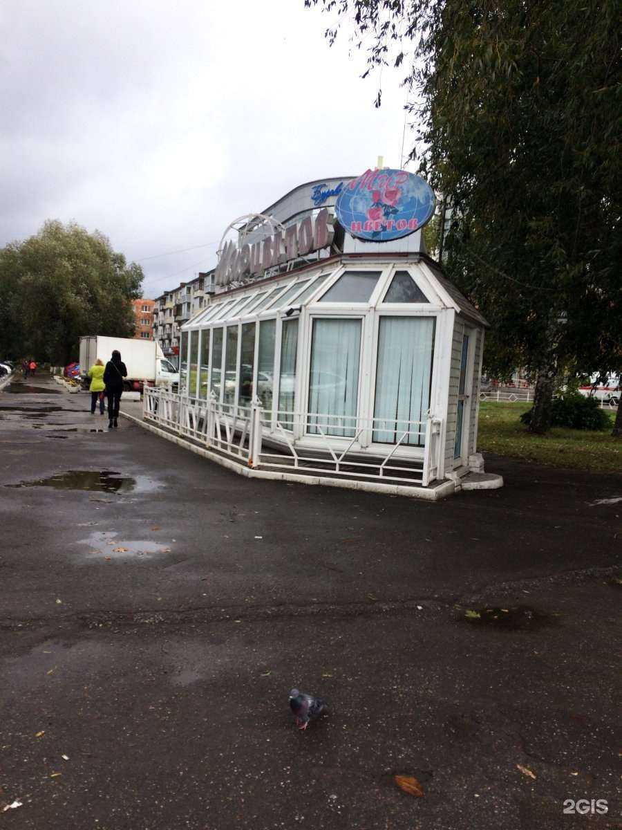 Отзывы на компанию Мир цветов в г. Владимир c фото