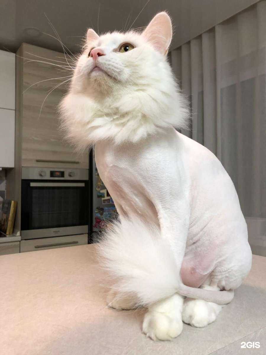 Отзывы на компанию Слон и Моська в г. Владивосток c фото