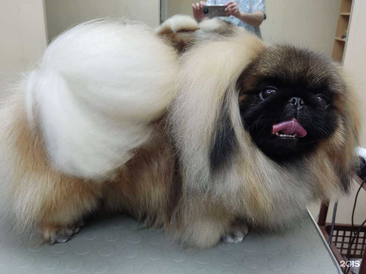 Отзывы на компанию Лёвушка в Иванове c фото