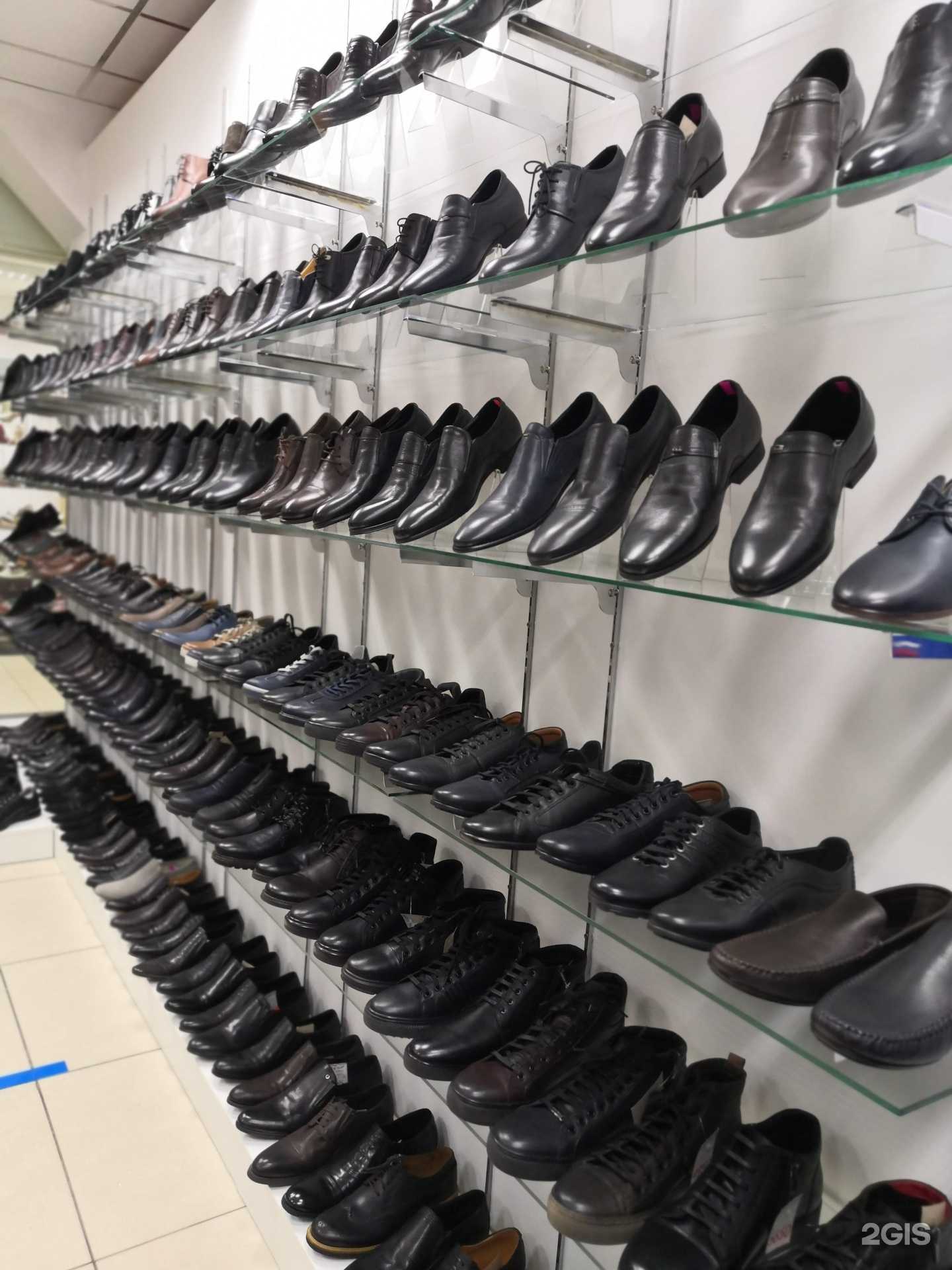 Отзывы на компанию Dino Ricci в Самаре c фото