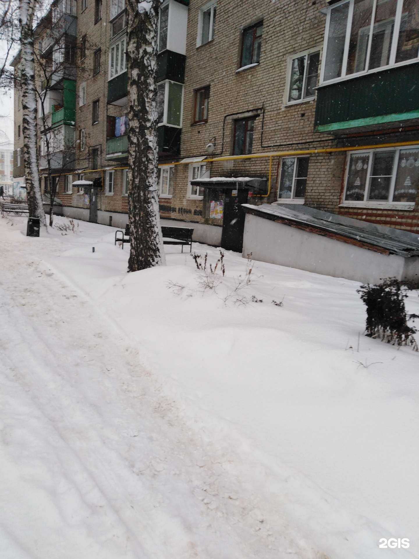 Отзывы на компанию Цветторг68 в Тамбове c фото - фотография 2 из 2