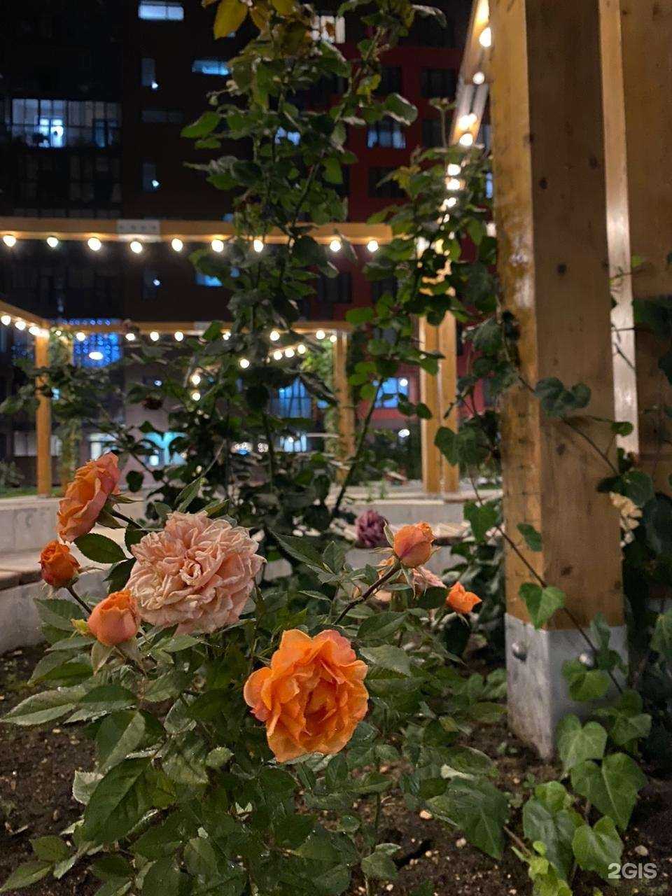 Отзывы на компанию Складно прокат в Коммунарке c фото - фотография 2 из 2