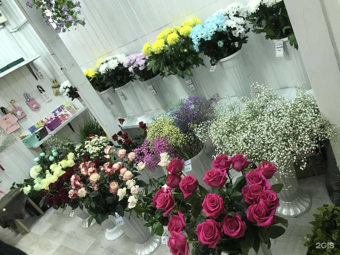 Отзывы на компанию Мамины Пельмени в Сургуте c фото