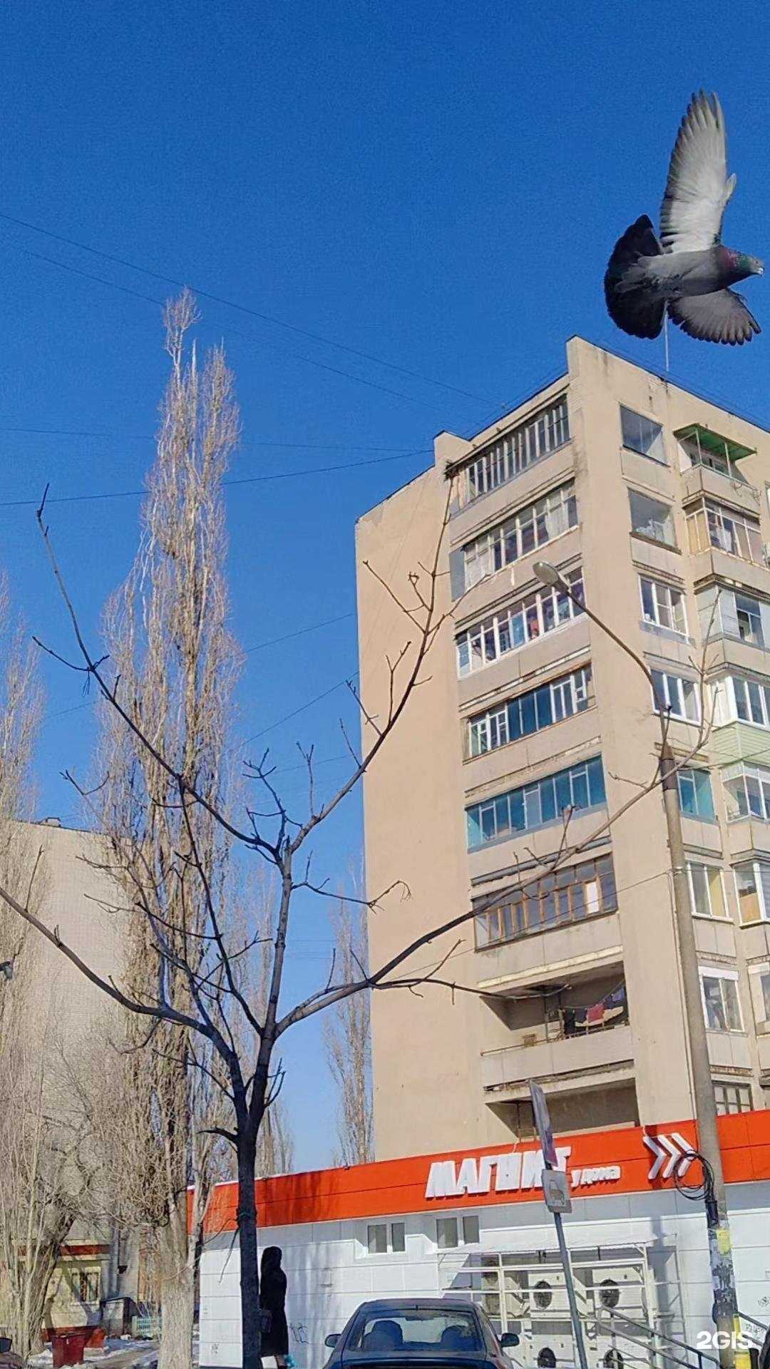 Отзывы на компанию Золотой лот-ломбард в Воронеже c фото - фотография 2 из 2