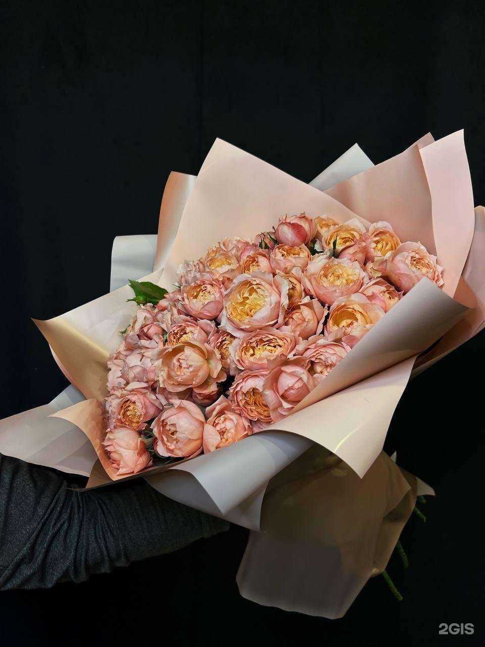 Отзывы на компанию Пальма в г. Белгород c фото