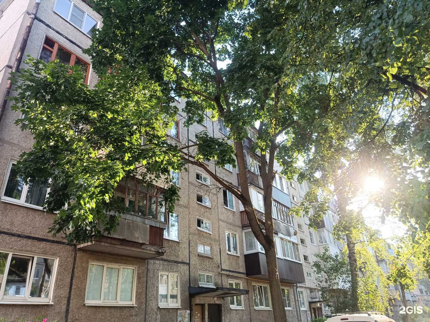 Отзывы на компанию Бестлиману в Йошкар-Оле c фото - фотография 2 из 2