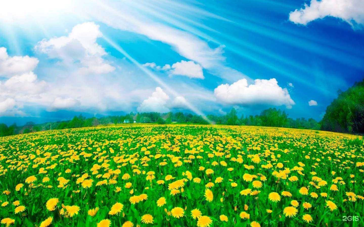 Отзывы на компанию Любер-эксперт в Люберцах c фото