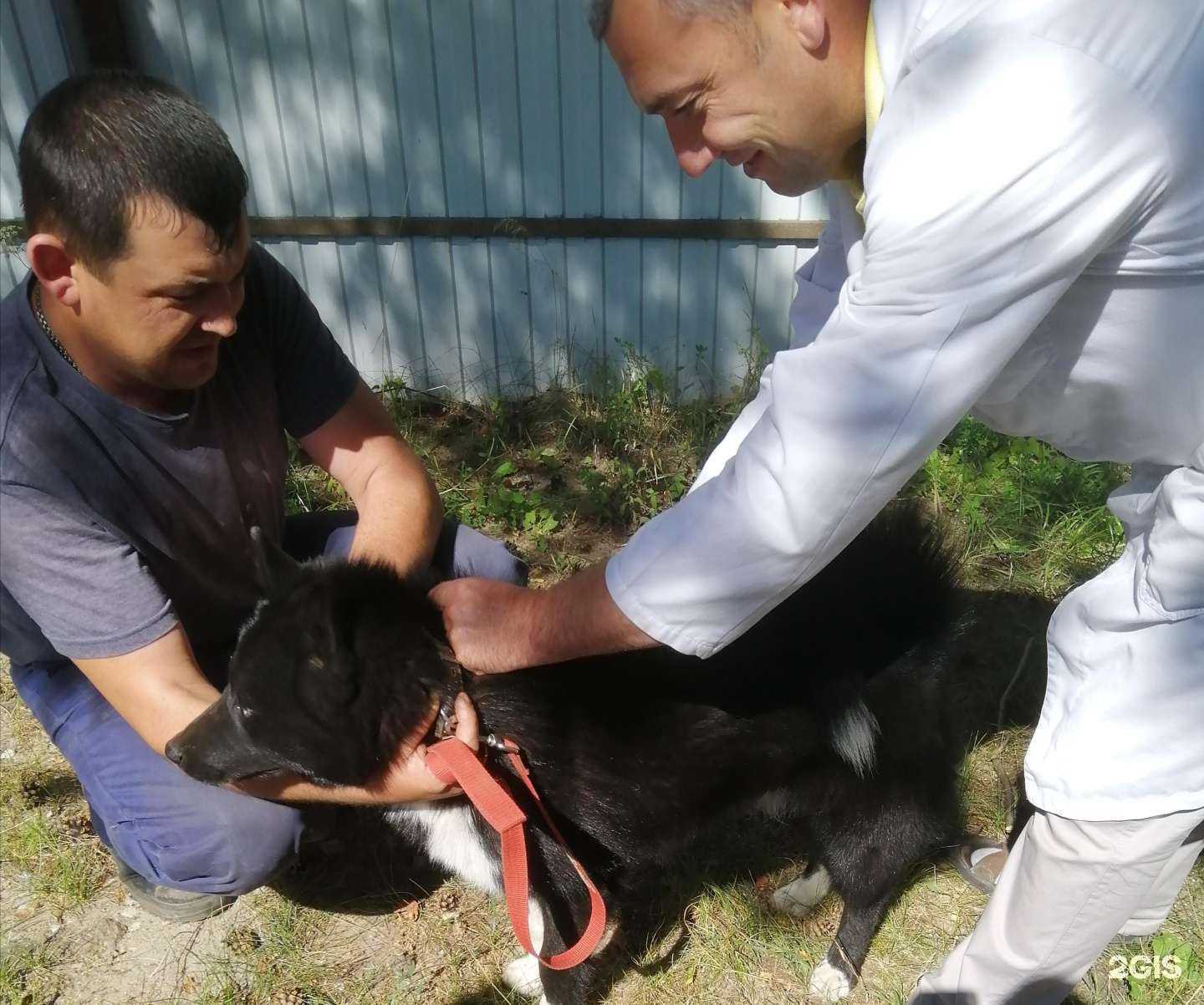 Отзывы на компанию Государственное ветеринарное управление городского округа г. Арзамас в г. Арзамас c фото