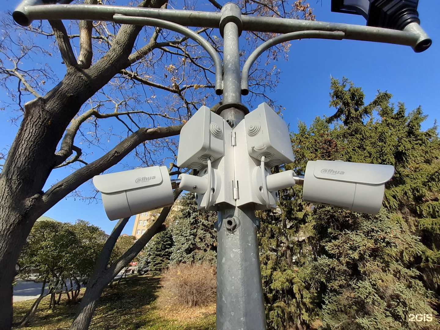 Отзывы на компанию СВД в г. Липецк c фото