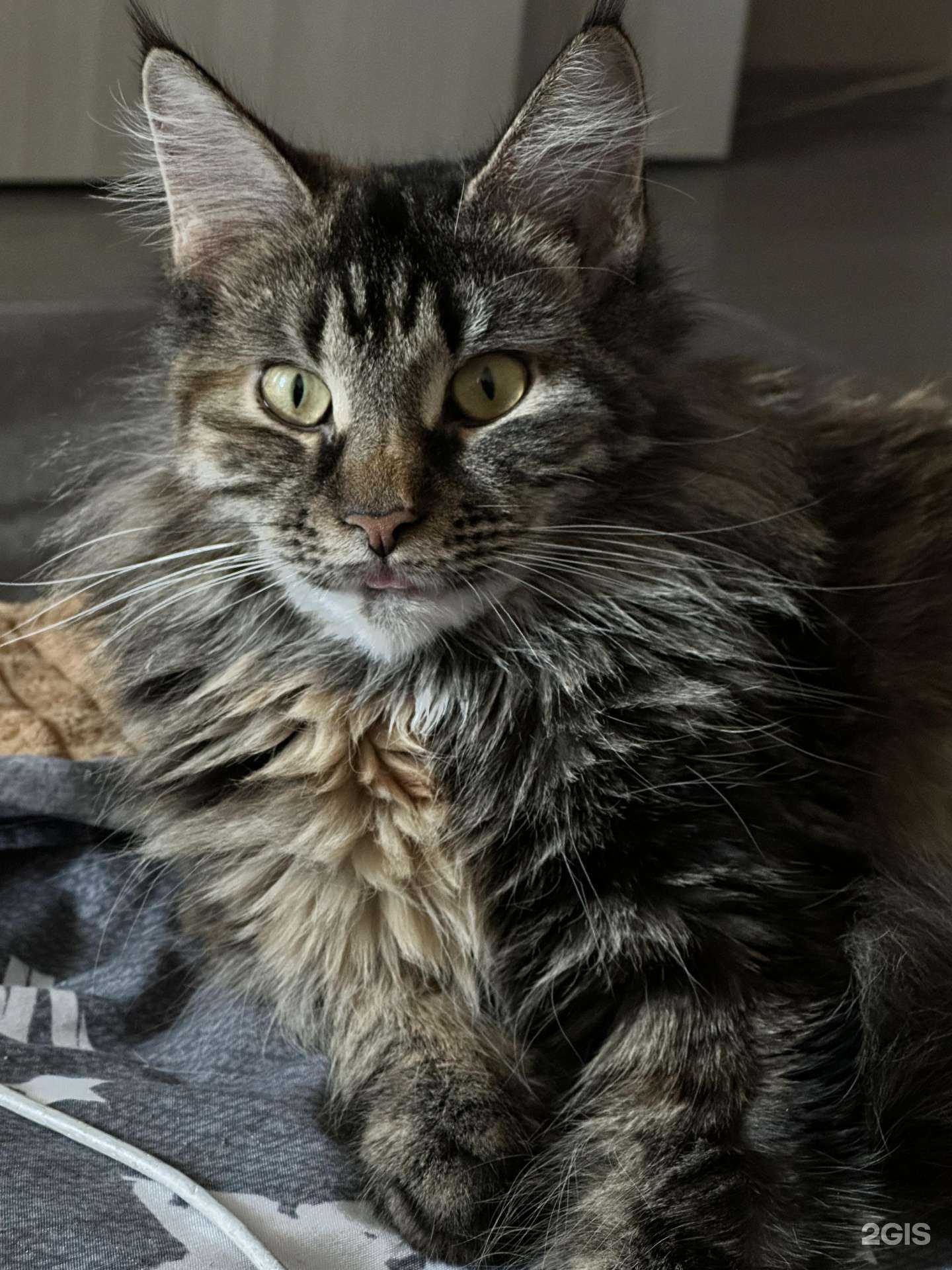 Отзывы на компанию ИнТерра в г. Новосибирск c фото