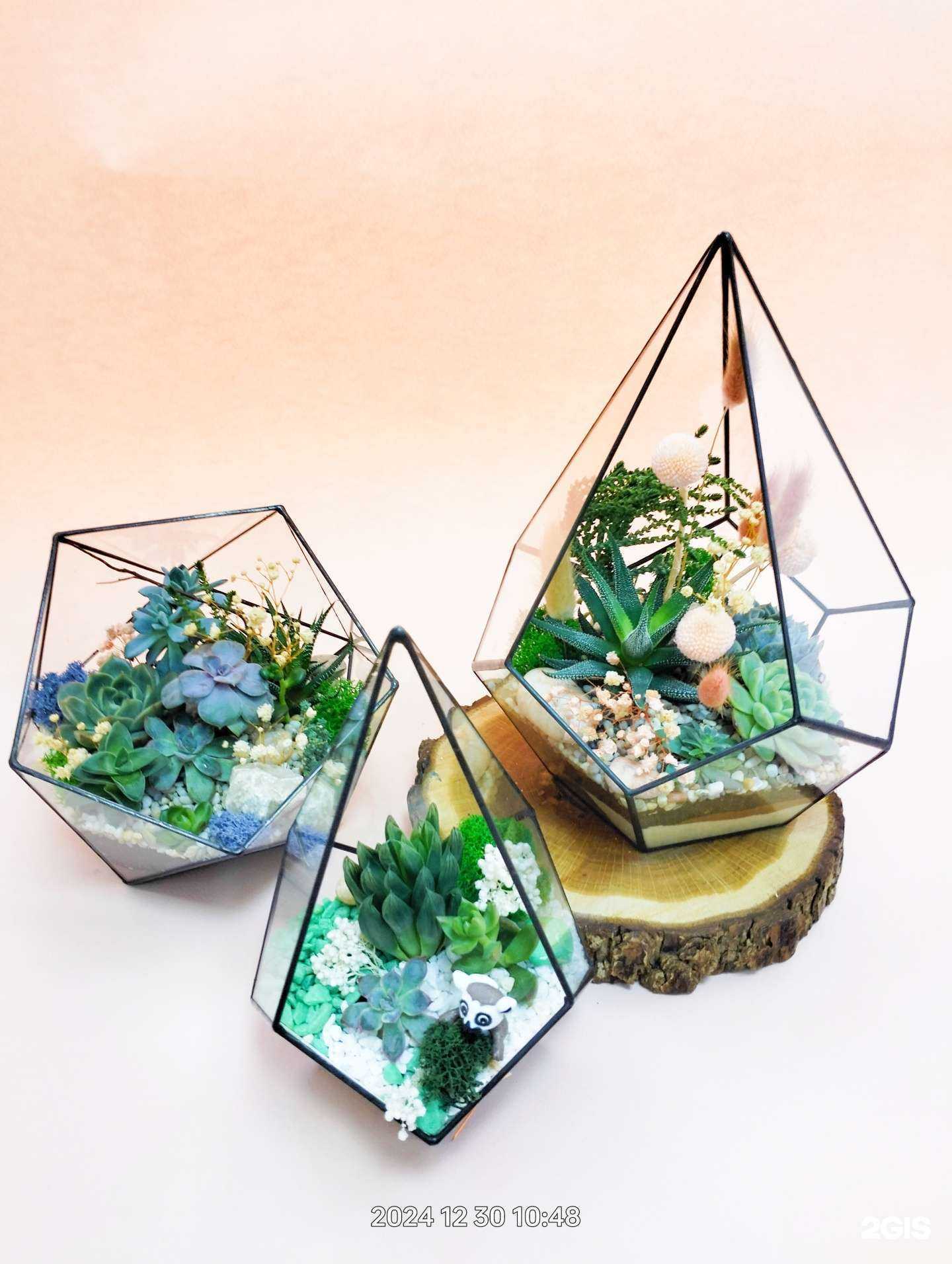 Отзывы на компанию Экофлора в г. Набережные Челны c фото