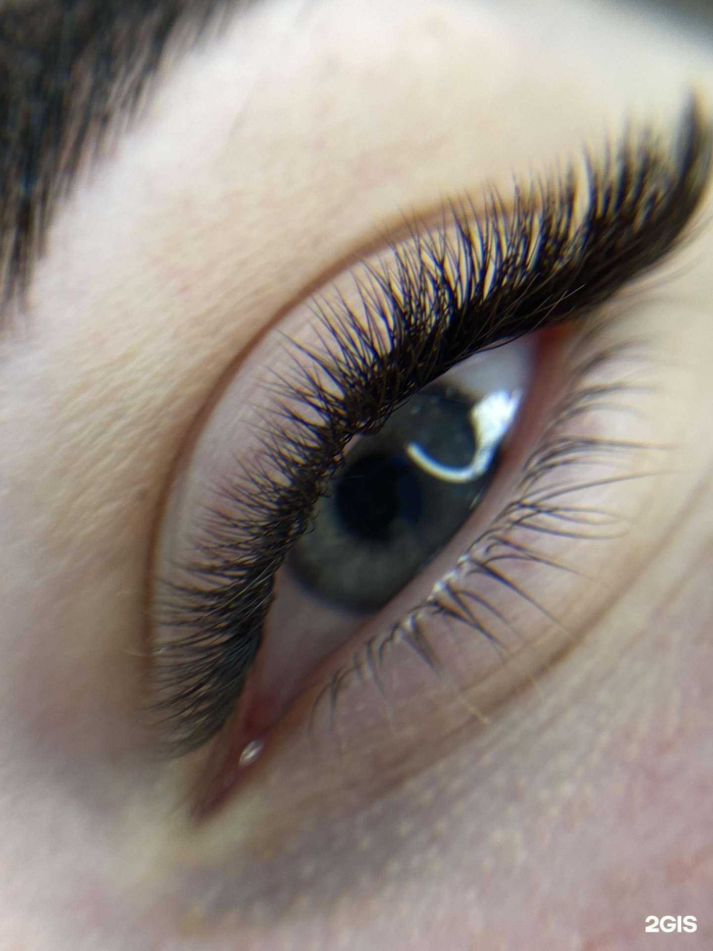 Отзывы на компанию Eglis studio в Краснодаре c фото