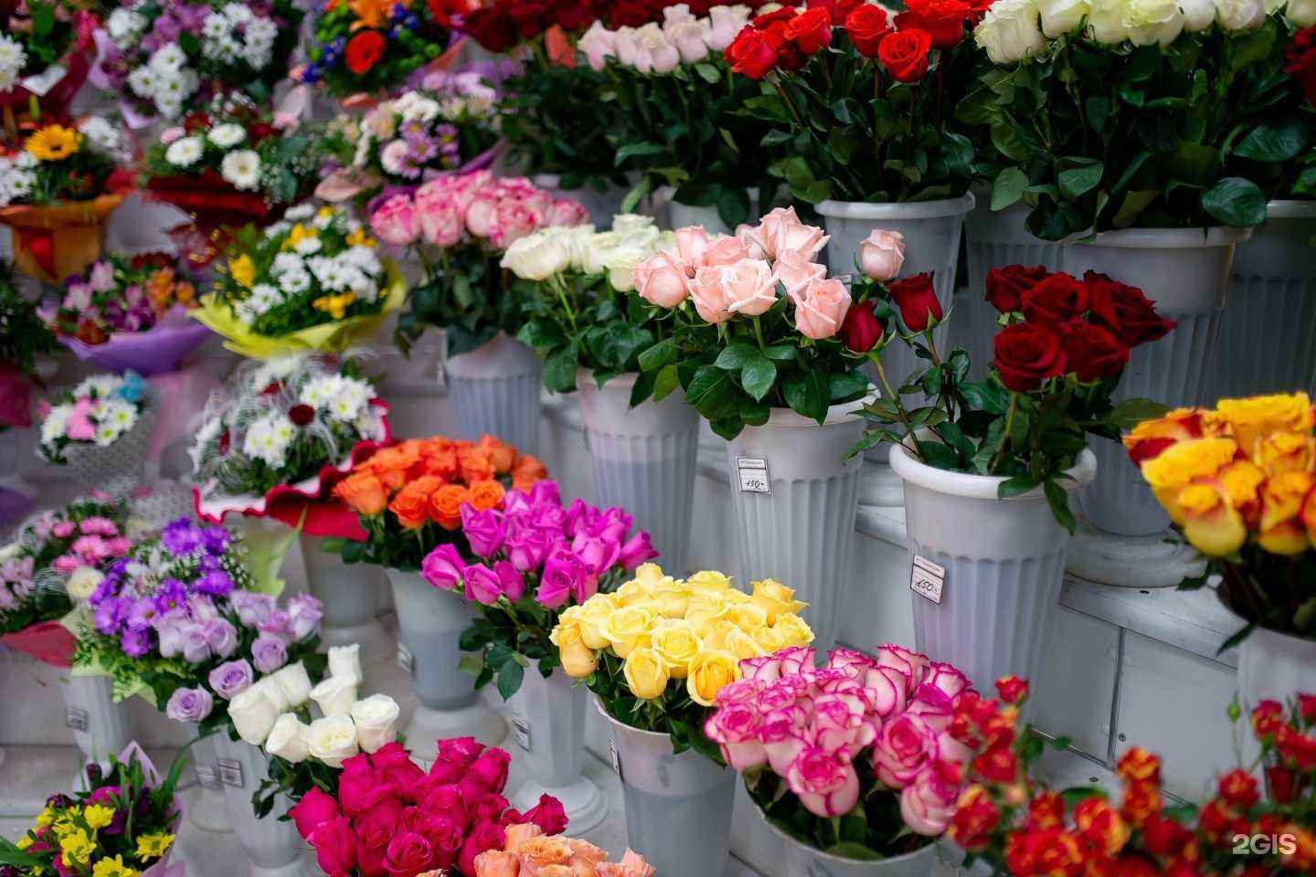 Отзывы на компанию Камелия в г. Ярославль c фото