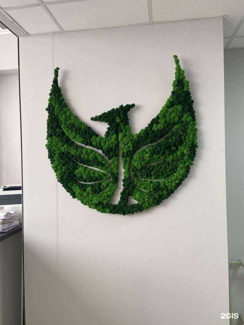 Отзывы на компанию Daya group в Краснодаре c фото