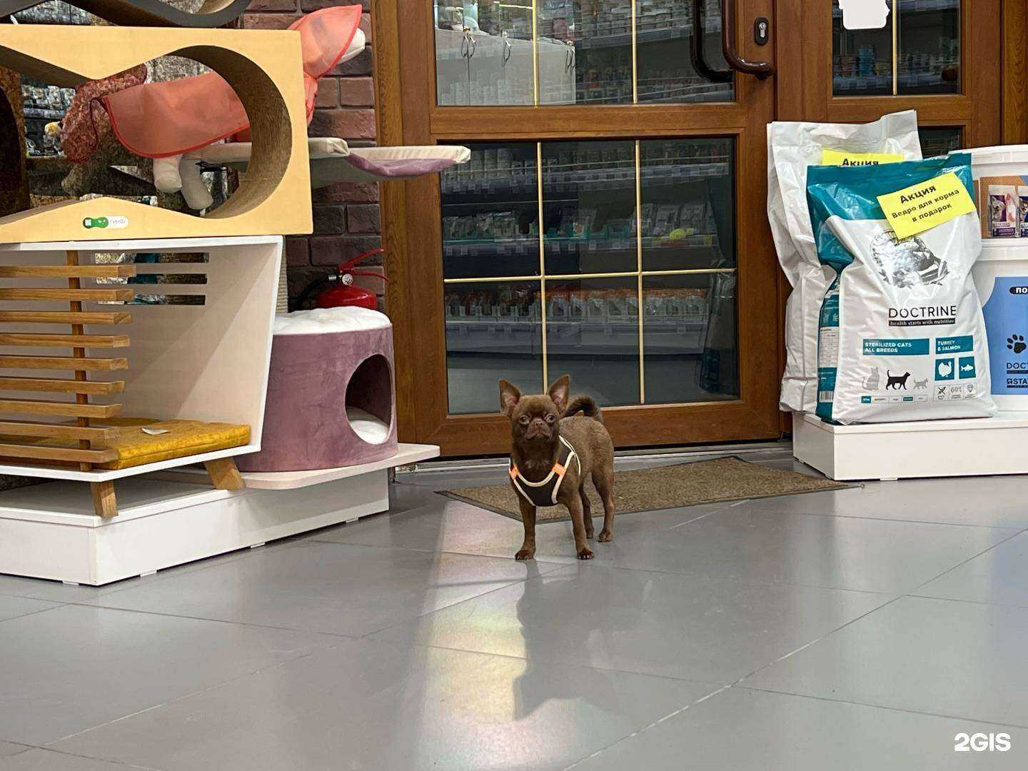 Отзывы на компанию Вет аптека №1 в г. Владивосток c фото