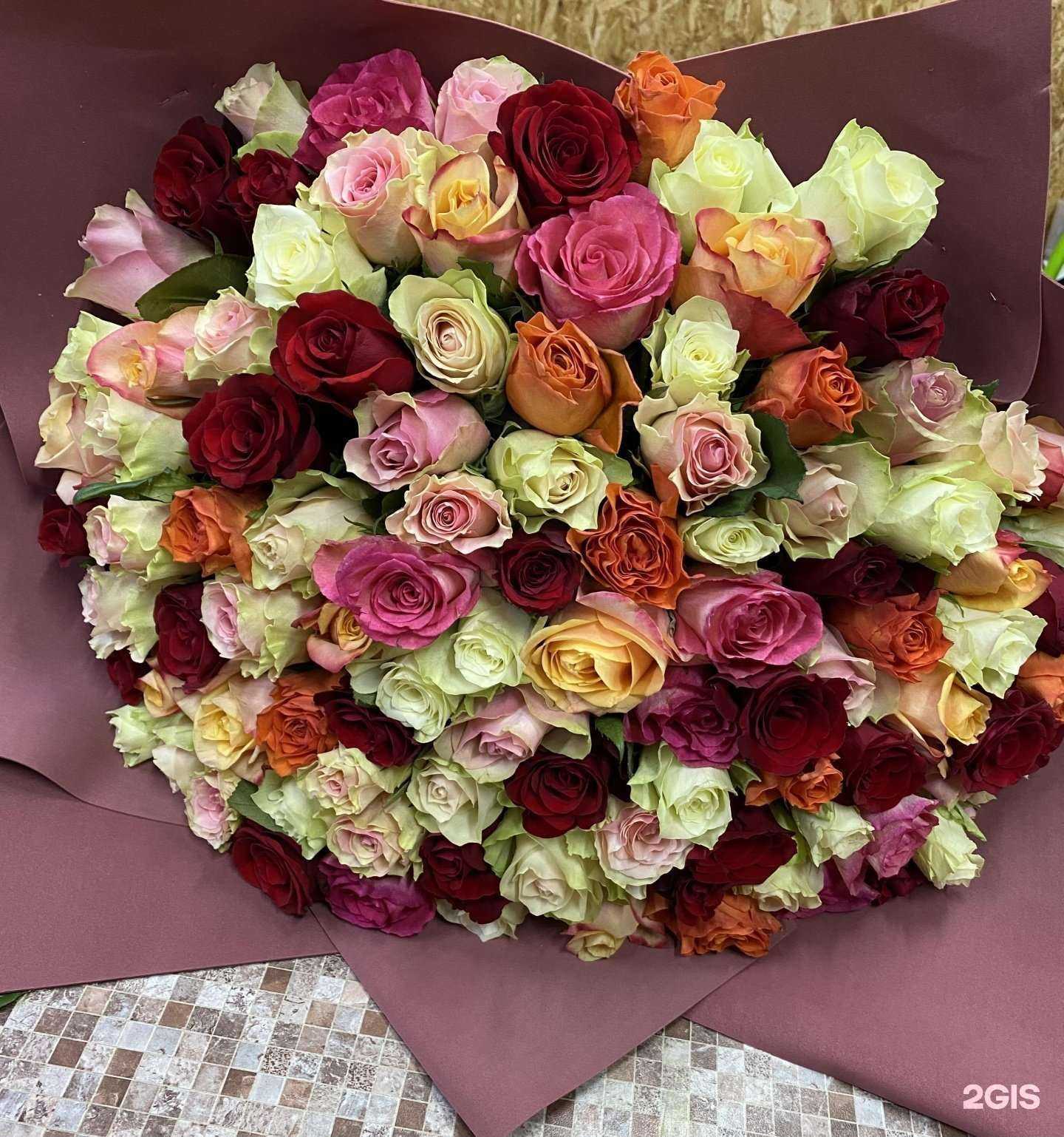 Отзывы на компанию Анфиса в Елабуге c фото