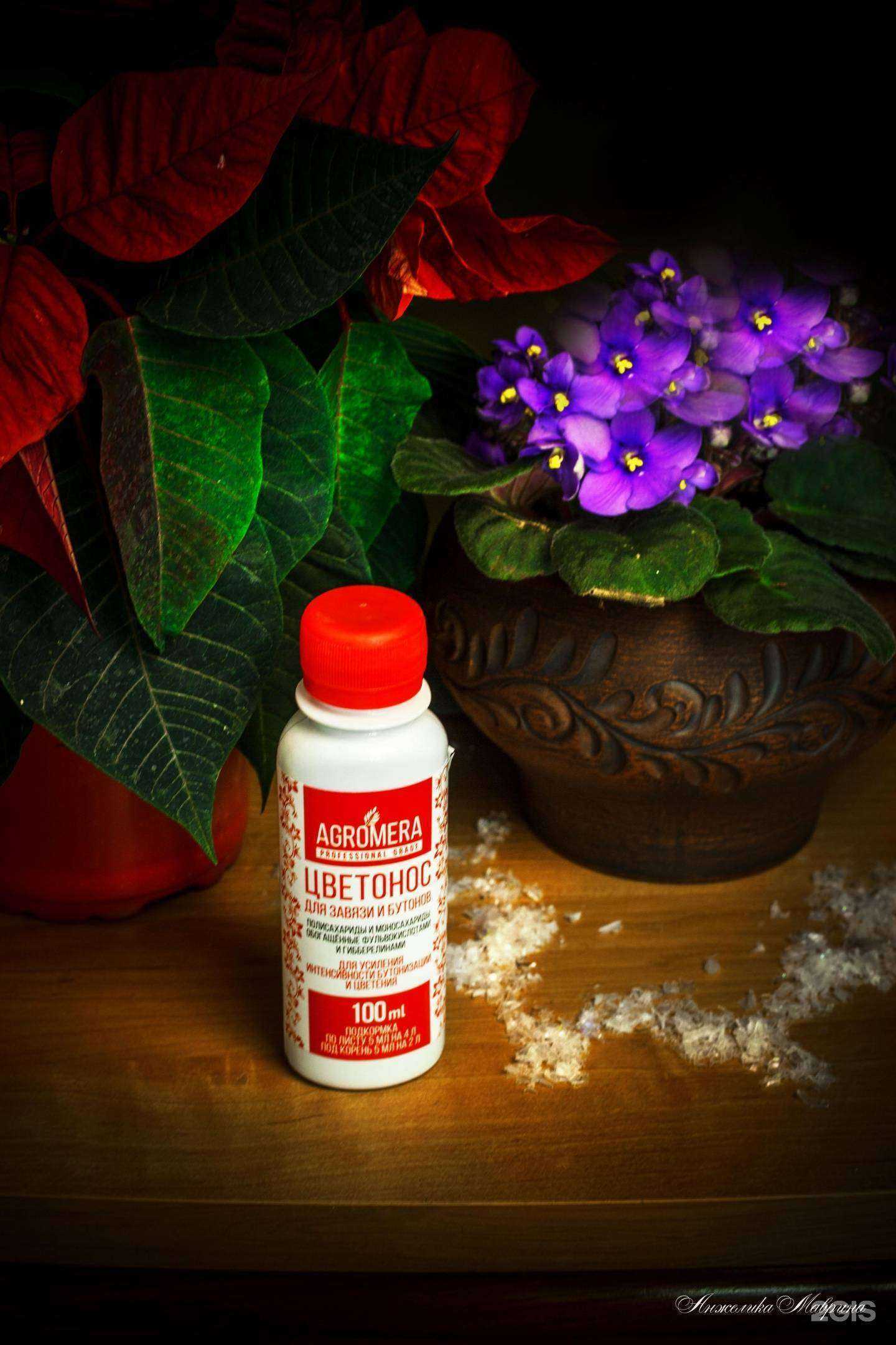 Отзывы на компанию Семена-база.рф в Волгограде c фото