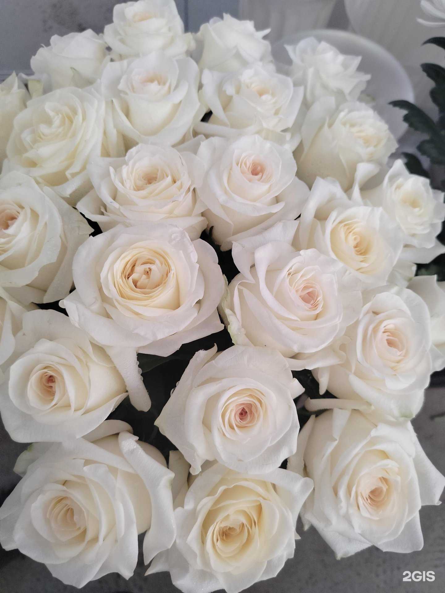 Отзывы на компанию Магазин цветов в г. Саратов c фото