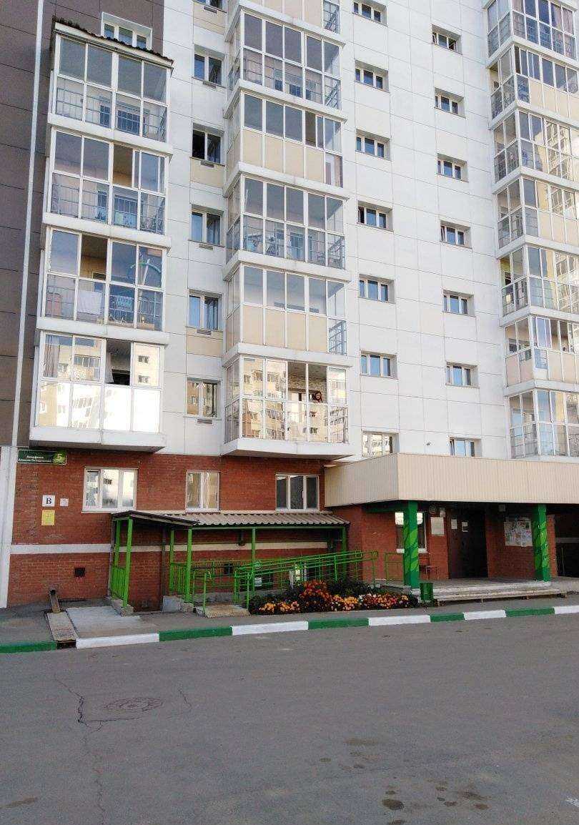 Отзывы на компанию Байкальская Академия Джиу-Джитсу в Иркутске c фото - фотография 2 из 2