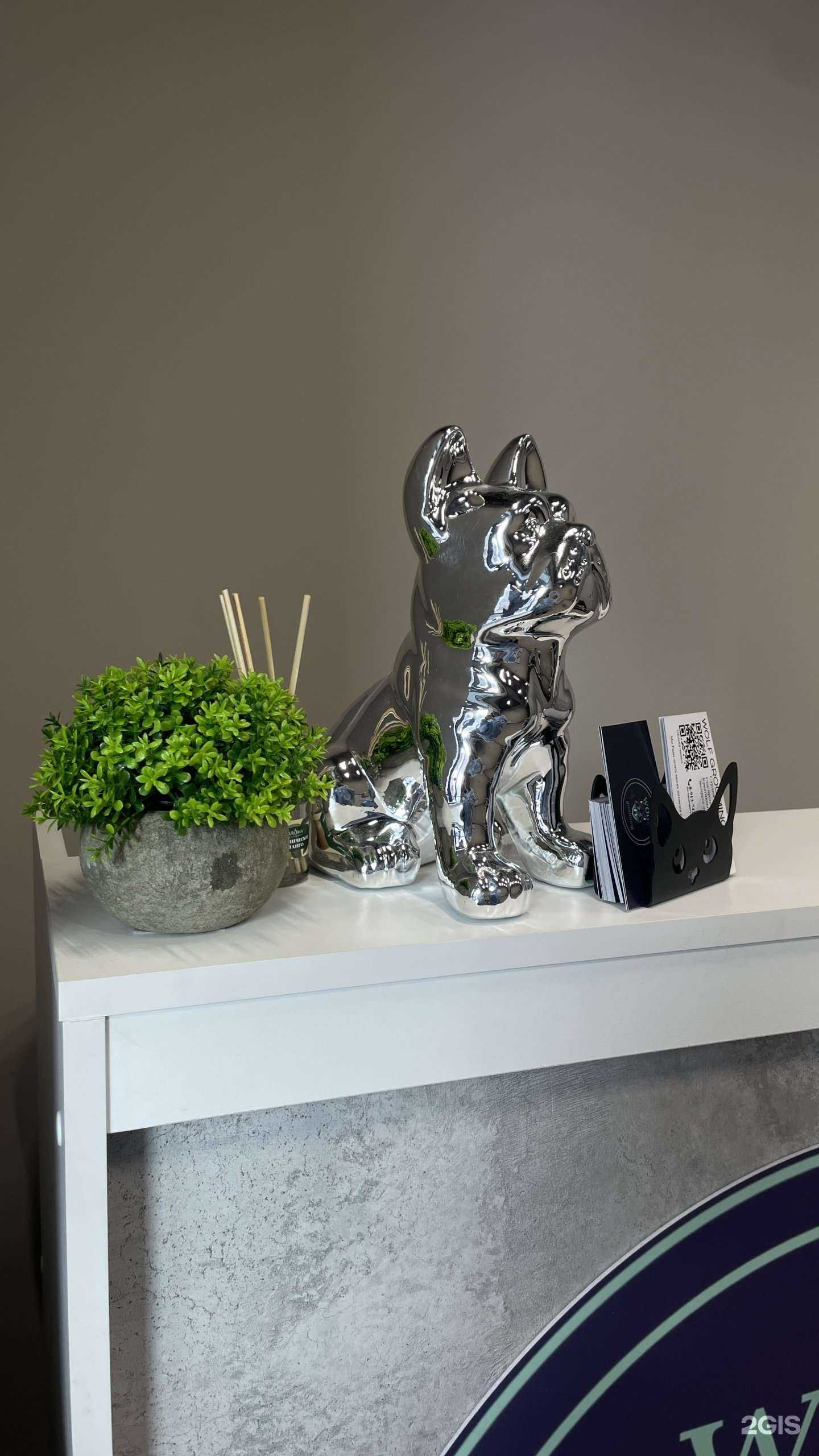 Отзывы на компанию Wolf grooming в Новосибирске c фото