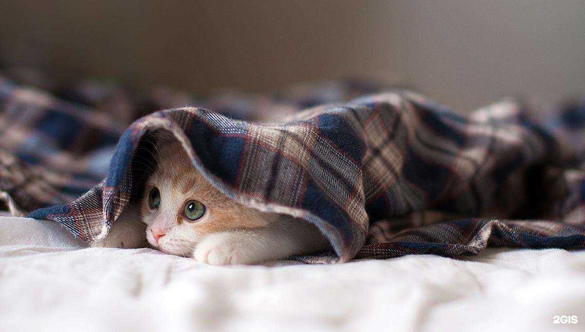 Отзывы на компанию Зооцентр в Ижевске c фото