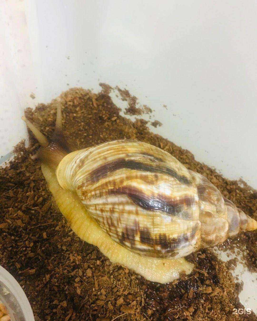 Отзывы на компанию Зоомагазин в г. Ульяновск c фото