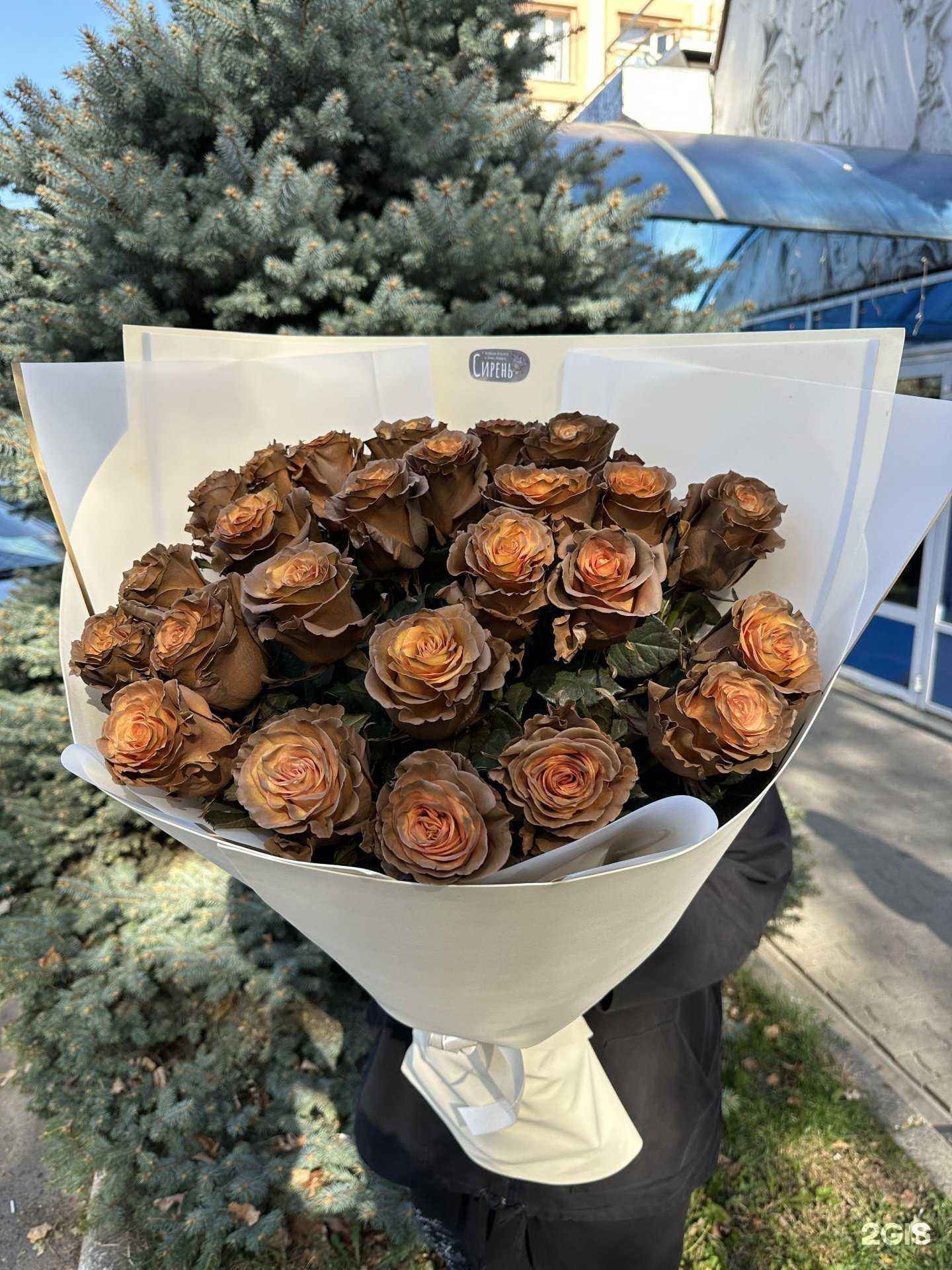 Отзывы на компанию Siren flowers в Ставрополе c фото