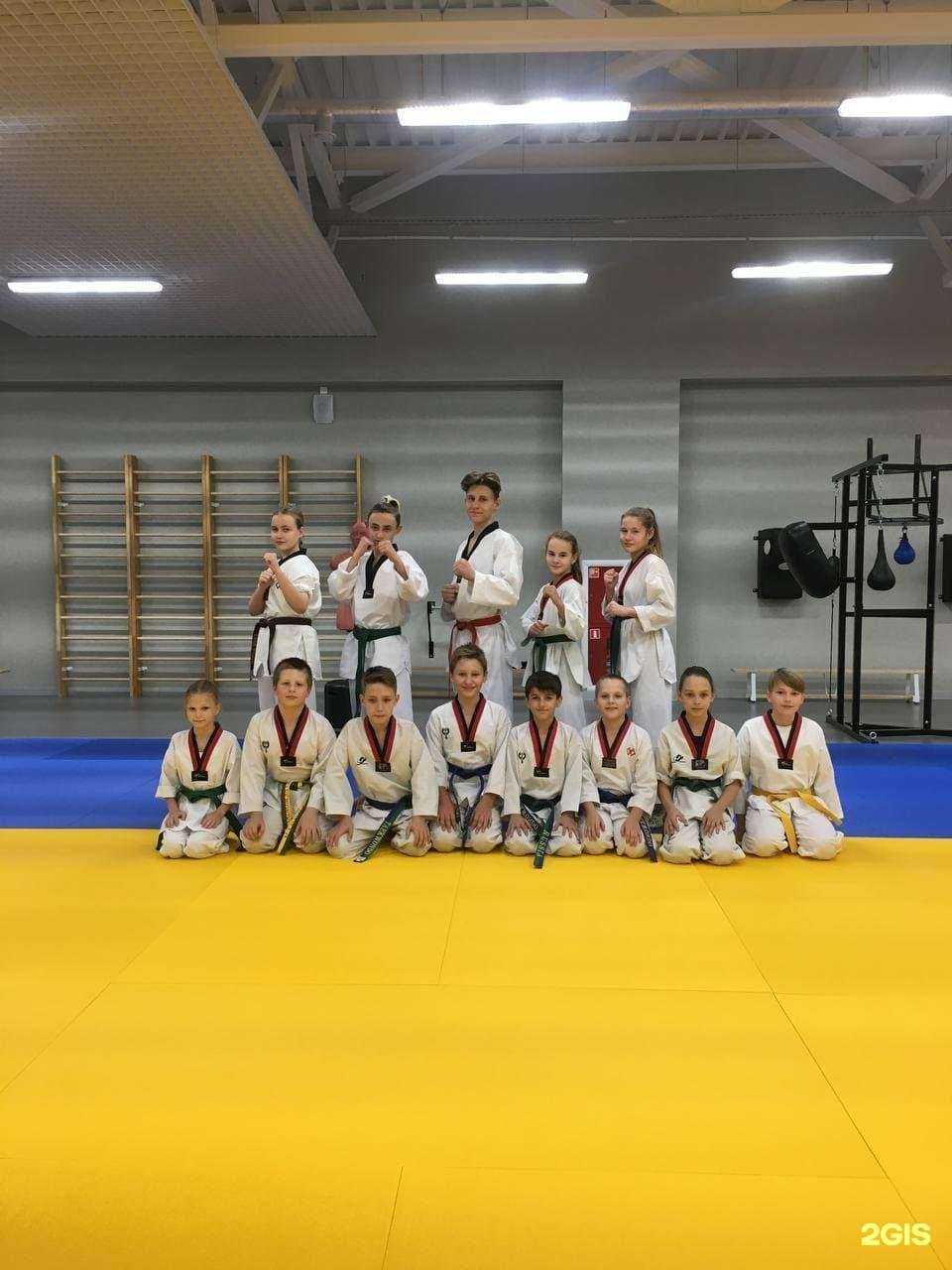Отзывы на компанию Отделение олимпийского тхэквондо ВТФ в Туле c фото