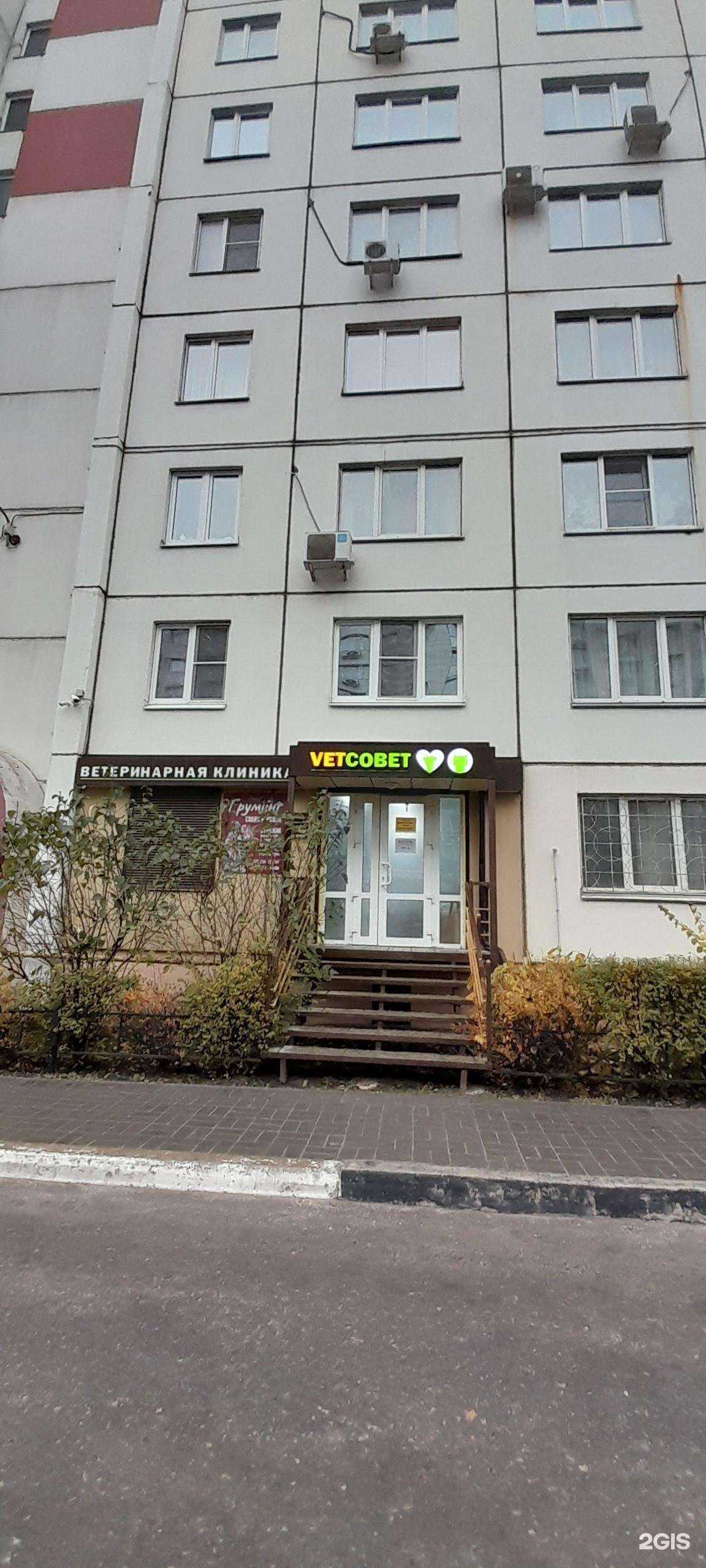 Отзывы на компанию Vetcovet в Воронеже c фото