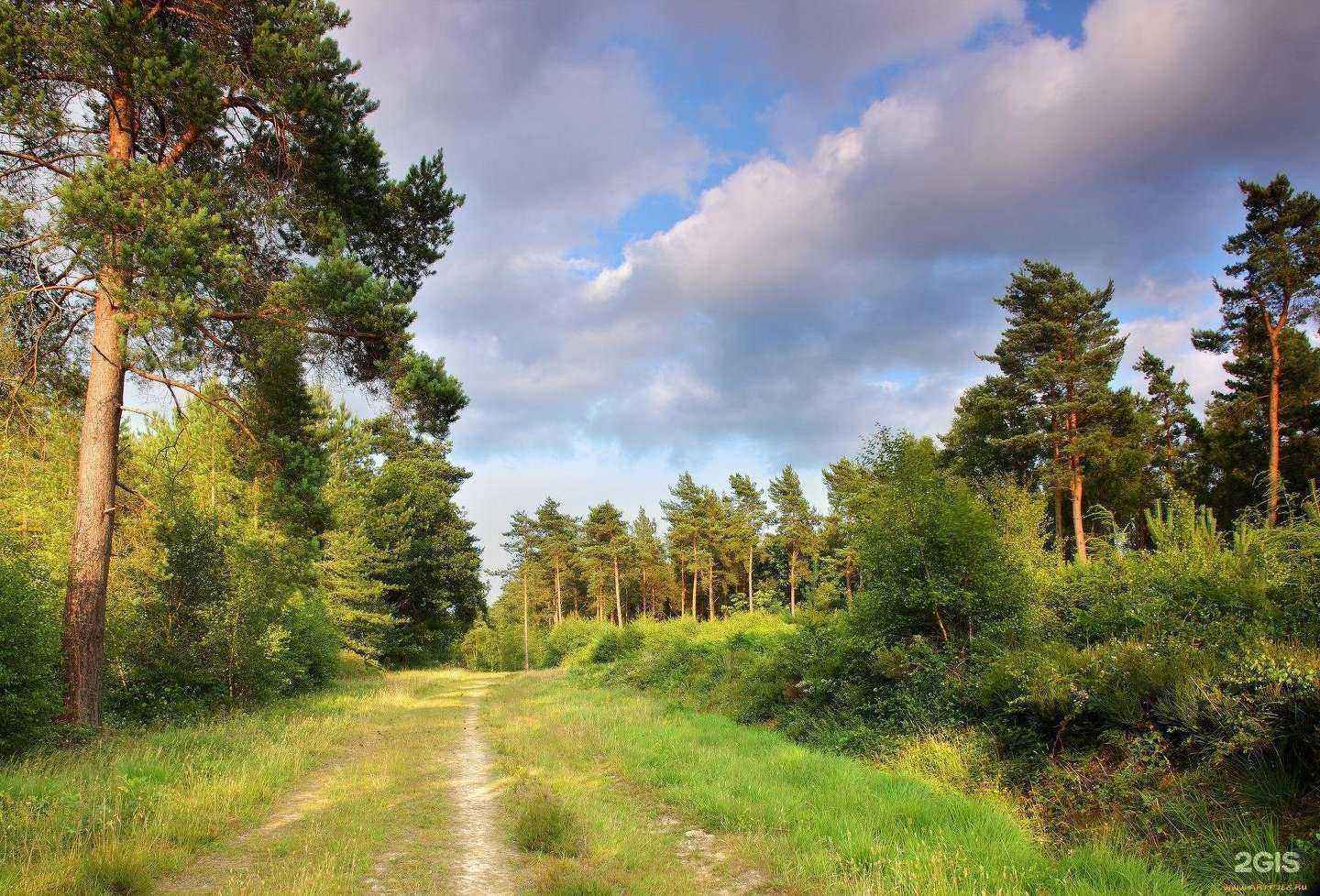 Отзывы на компанию Земля69 в Твери c фото