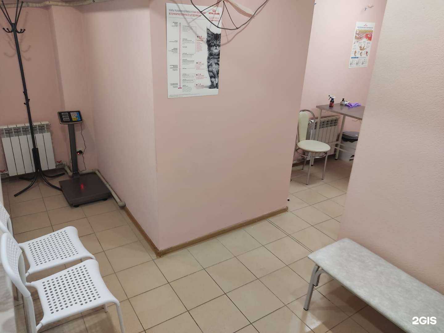 Отзывы на компанию ЗооМаг в г. Белгород c фото