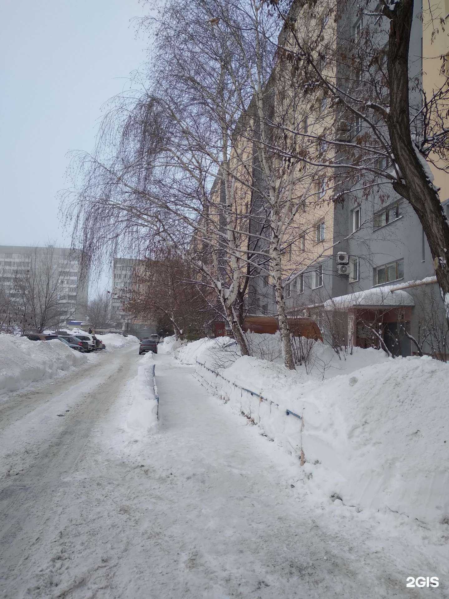 Отзывы на компанию Boboschool в Саратове c фото - фотография 2 из 2