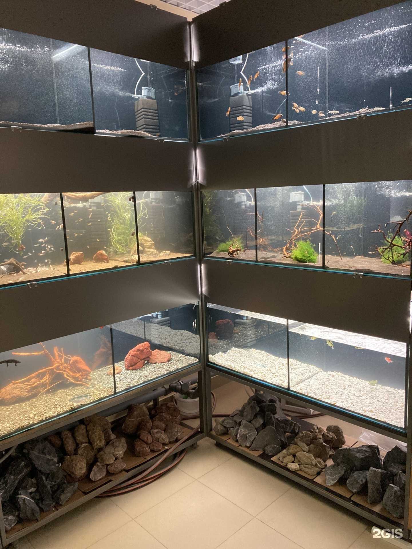 Отзывы на компанию Kusto в Уфе c фото